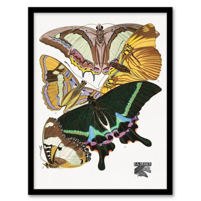 Artery8 Eugene Seguy Framed Wall Art Bright Vintage Butterflies Papillons - Size: A4 - image 1