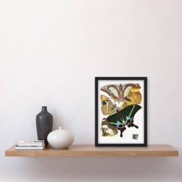 Artery8 Eugene Seguy Framed Wall Art Bright Vintage Butterflies Papillons - Size: A4 - thumbnail 2