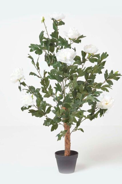 Homescapes Artificial Peony Tree in Black Pot, 100 cm Tall in Cream - image 1