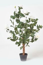 Homescapes Artificial Peony Tree in Black Pot, 100 cm Tall in Cream