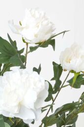Homescapes Artificial Peony Tree in Black Pot, 100 cm Tall in Cream - thumbnail 5