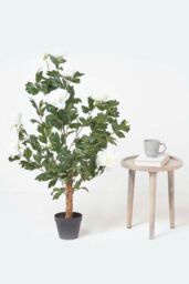 Homescapes Artificial Peony Tree in Black Pot, 100 cm Tall in Cream - thumbnail 2