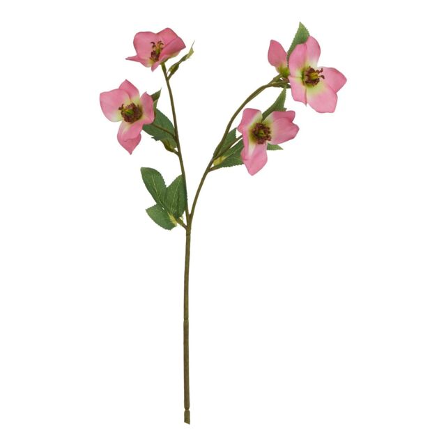 Hill Interiors The Natural Garden Collection Varigated Hellibore Artificial Flower in Pink - image 1