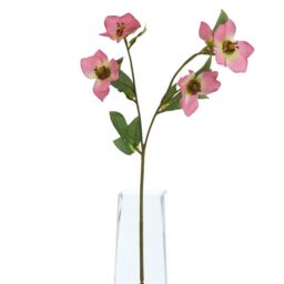 Hill Interiors The Natural Garden Collection Varigated Hellibore Artificial Flower in Pink - thumbnail 4