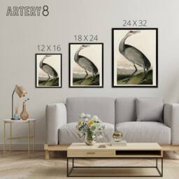 "Artery8 Audubon Birds Of Crane Nature Painting Framed Canvas Wall Art Print - Size: W12"" x H16""" - thumbnail 4