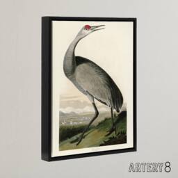 "Artery8 Audubon Birds Of Crane Nature Painting Framed Canvas Wall Art Print - Size: W12"" x H16""" - thumbnail 2