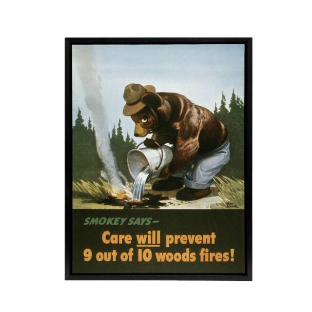 "Artery8 Smokey Bear Advert Forest Fire Prevention Framed Canvas Wall Art Print - Size: W12"" x H16""" - image 1
