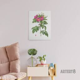 "Artery8 Carolina Rose Illustration Redoute Vintage Canvas Wall Art in White - Size: W18"" x H24""" - thumbnail 3