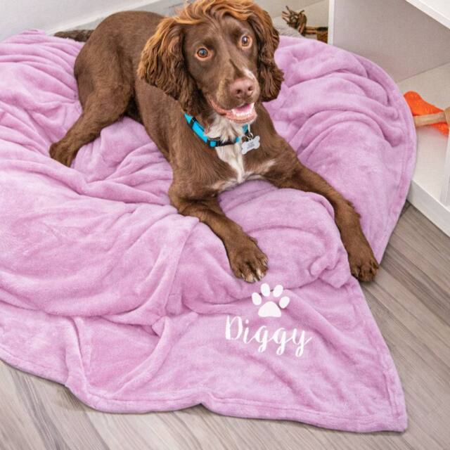 Duncan Stewart Personalised Dog Blanket Throw in Light Pink - image 1