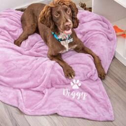 Duncan Stewart Personalised Dog Blanket Throw in Light Pink - thumbnail 1