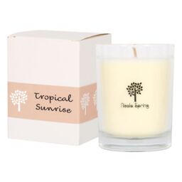 Nicola Spring 160g Soy Wax Scented Candle - Tropical Sunrise - Aromatherapy Jar Candle in Clear