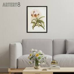 "Artery8 Frederick Sander Vanda Sanderiana Orchid Flowers Framed Canvas Art - Size: W12"" x H16""" - thumbnail 3