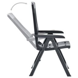 Berkfield Home Garden Reclining Chairs 2 pcs Plastic Anthracite in Black - thumbnail 6
