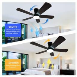 NIVOR Dimmable LED Ceiling Fans with Remote RGB Noiseless Modern Fan Lamp in Brown - thumbnail 5