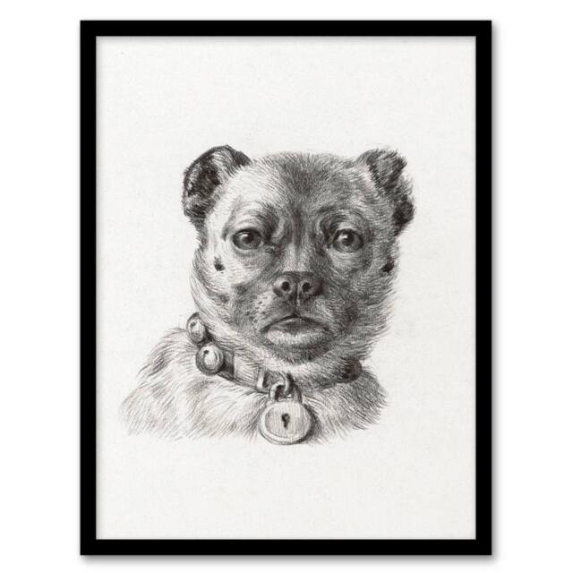 Artery8 Jean Bernard Framed Wall Art Dog head with a Collar Pencil Drawing in White - Size: A4 - image 1
