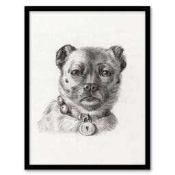 Artery8 Jean Bernard Framed Wall Art Dog head with a Collar Pencil Drawing in White - Size: A4 - thumbnail 1