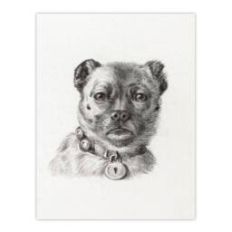 Artery8 Jean Bernard Framed Wall Art Dog head with a Collar Pencil Drawing in White - Size: A4 - thumbnail 3