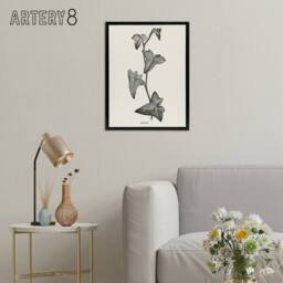 "Artery8 Vintage Botanical Sagittifolia Ivy Hibberd Black Framed Canvas Art in White - Size: W24"" x H32""" - thumbnail 3
