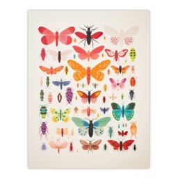 "Artery8 Wall Art Print Insects & Bugs Bright Colourful Poster Picture - Size: W18"" x H24""" - thumbnail 1
