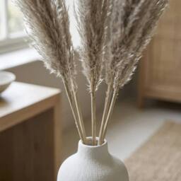 Garden Greatness Natural Dried Pampas Grass Stems - Size: 1 Pack - thumbnail 2