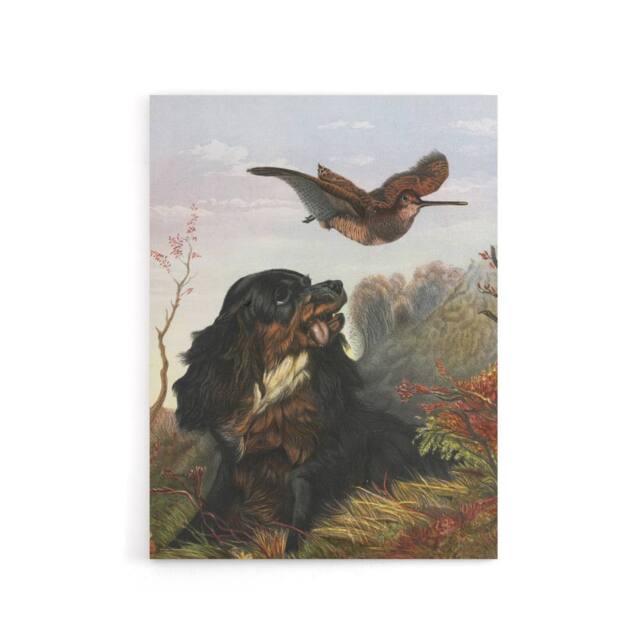 "Artery8 Cocker Spaniel Dog & Woodcock Arthur Tait Canvas Wall Art Print - Size: W12"" x H16""" - image 1