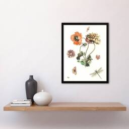Artery8 Poppies Butterflies & Dragonfly Teyler Framed Wall Art Print in White - Size: A4 - thumbnail 2