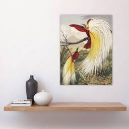 "Artery8 Bird Paradise Exotic B. Fawcett Vintage Wall Art Print Poster - Size: W24"" x H32""" - thumbnail 4