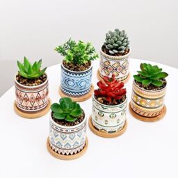 simpa PC Mixed Earth Pattern Ceramic Plant Pots with Bamboo Base - thumbnail 4