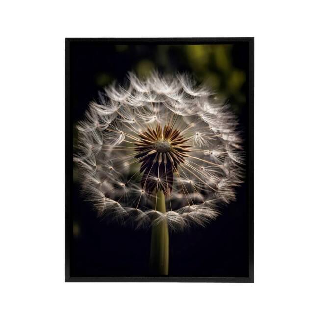 "Artery8 Dandelion Flower Pappus Macro Framed Canvas Wall Art Print - Size: W12"" x H16""" - image 1