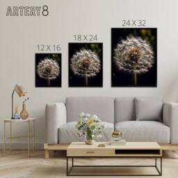 "Artery8 Dandelion Flower Pappus Macro Framed Canvas Wall Art Print - Size: W12"" x H16""" - thumbnail 4