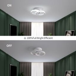 Pheashine Modern White Dual-Ring LED Ceiling Light, 22W 6500K Cool White, 25cm - thumbnail 3