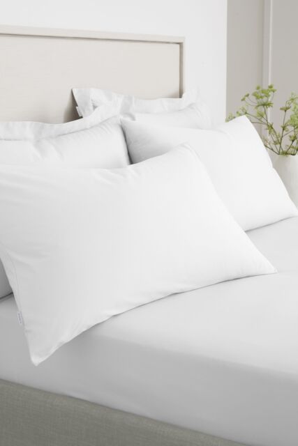 Bianca '200 Thread Count Cotton Percale' Standard Pillowcase Pair in White - image 1