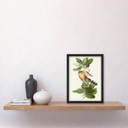 Artery8 Audubon Framed Wall Art Mangrove Cuckoo & Seven Year Apple Flower in White - Size: A4 - thumbnail 2