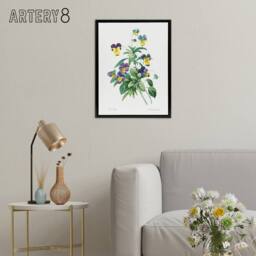 "Artery8 Wild Pansy Flower Illustration Redoute Vintage Framed Canvas Wall Art in White - Size: W12"" x H16""" - thumbnail 3