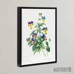 "Artery8 Wild Pansy Flower Illustration Redoute Vintage Framed Canvas Wall Art in White - Size: W12"" x H16""" - thumbnail 2