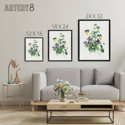 "Artery8 Wild Pansy Flower Illustration Redoute Vintage Framed Canvas Wall Art in White - Size: W12"" x H16""" - thumbnail 4