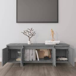 Berkfield Home TV Cabinet Grey Sonoma 120x30x40.5 cm Engineered Wood - thumbnail 3