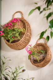 Dibor Set of 2 Round Wall Hanging Indoor Planter Baskets in Natural
