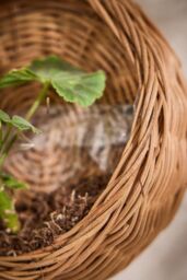 Dibor Set of 2 Round Wall Hanging Indoor Planter Baskets in Natural - thumbnail 3