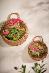Dibor Set of 2 Round Wall Hanging Indoor Planter Baskets in Natural - thumbnail 2