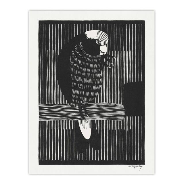 "Artery8 Stylised Galah Cockatoo Bird De Mesquita Wall Art Poster Print in Black - Size: W12"" x H16""" - image 1