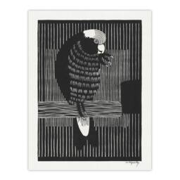 "Artery8 Stylised Galah Cockatoo Bird De Mesquita Wall Art Poster Print in Black - Size: W12"" x H16""" - thumbnail 1
