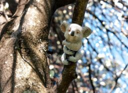 Marco Paul Tree Peeker Hugger Koala Bear Statue in Grey - thumbnail 6