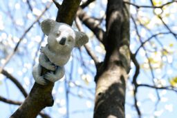 Marco Paul Tree Peeker Hugger Koala Bear Statue in Grey - thumbnail 4