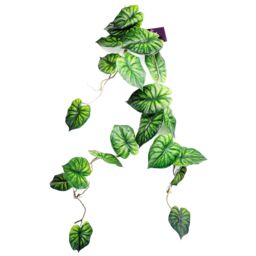 Leaf 6 x 120cm Artificial Hanging Trailing Plant Alocasia Dragon Scale Green - Size: 6 x 120 cm - thumbnail 4