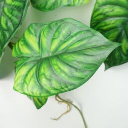 Leaf 6 x 120cm Artificial Hanging Trailing Plant Alocasia Dragon Scale Green - Size: 6 x 120 cm - thumbnail 3