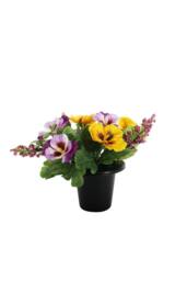 KDMD Essential Yellow Purple Pansy Remembrance Pot - thumbnail 1