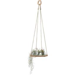 LSA Canopy Plant Hanger with Cork Base Set of 3 Pieces 29cm in Clear - thumbnail 2