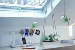 LSA Canopy Plant Hanger with Cork Base Set of 3 Pieces 29cm in Clear - thumbnail 4