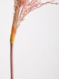 Orsina Fiori Pink Stem Pampas Grass, Natural Charm - thumbnail 2